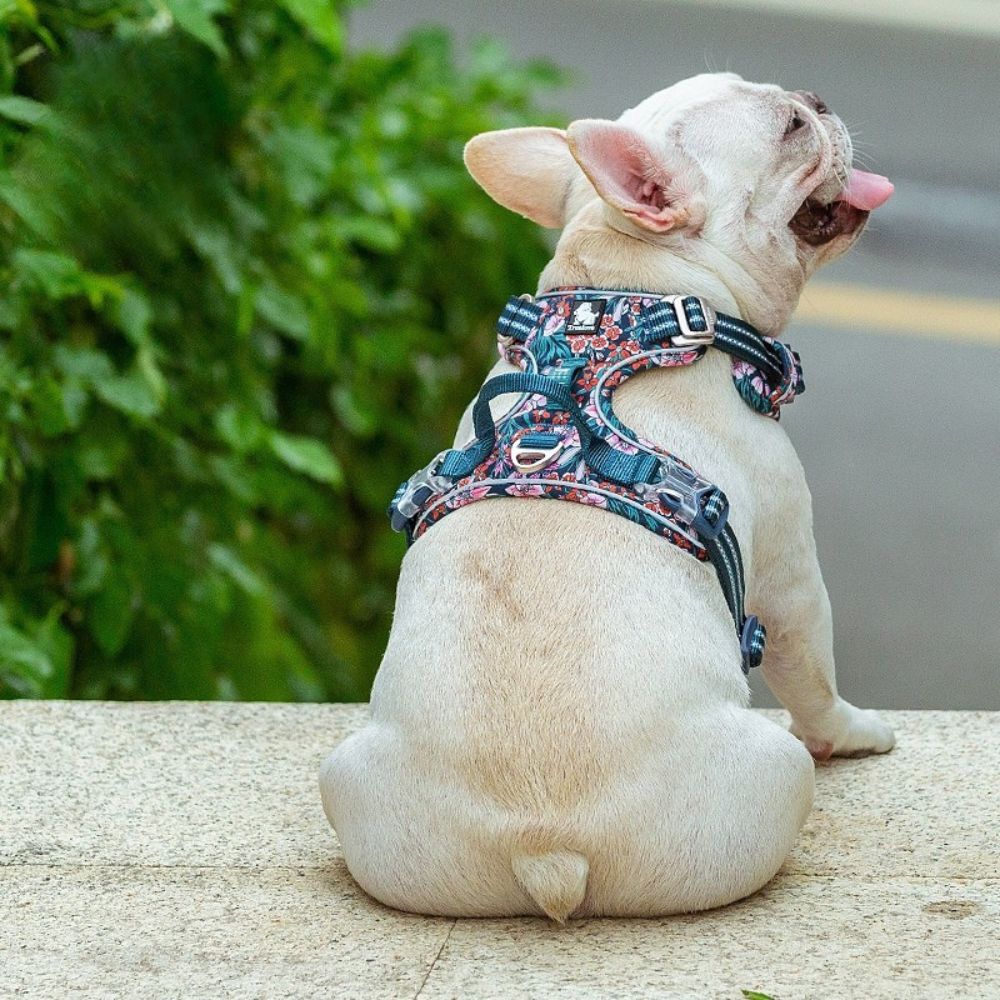 No-Pull Nylon Harness - Navy