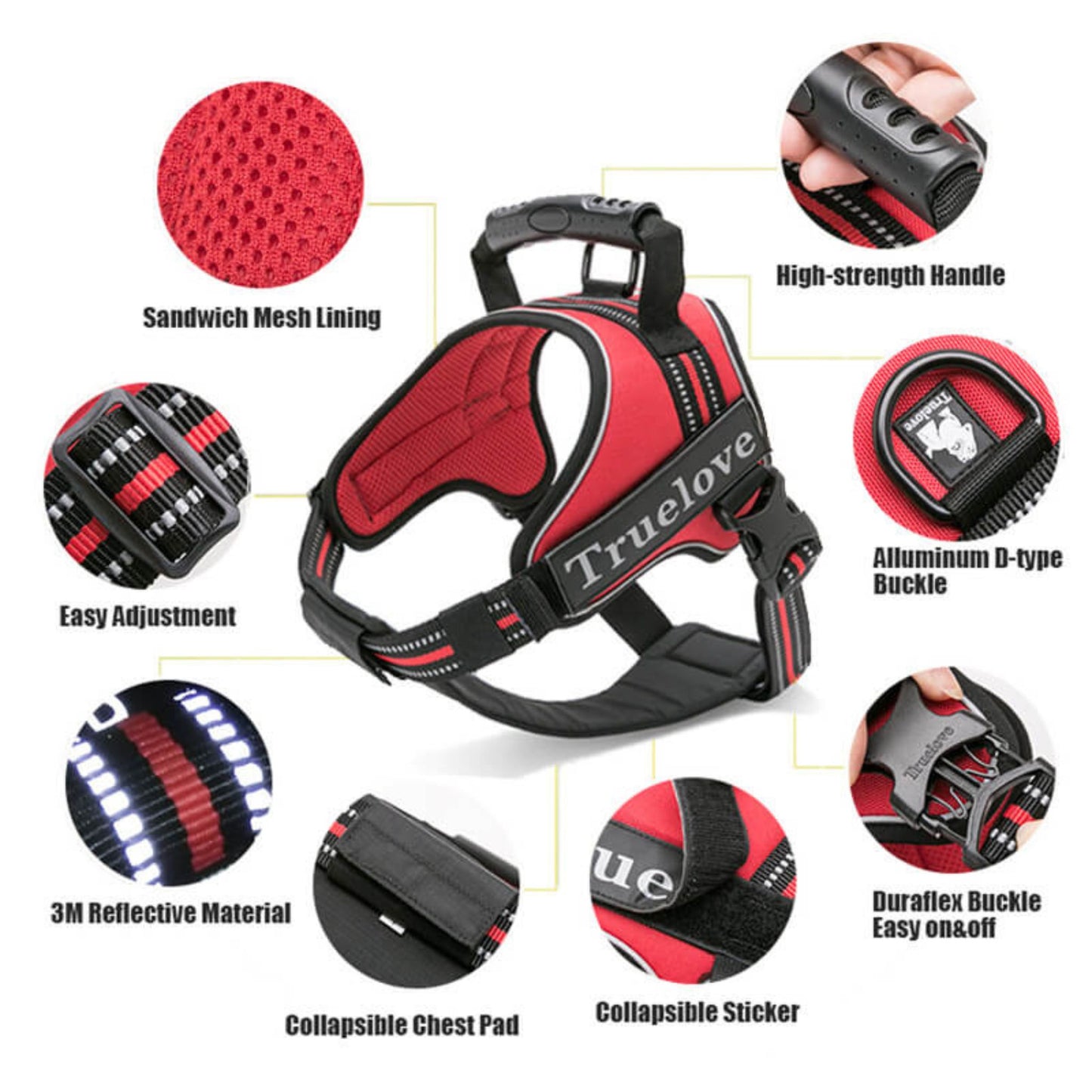 Adventure Harness - Blue