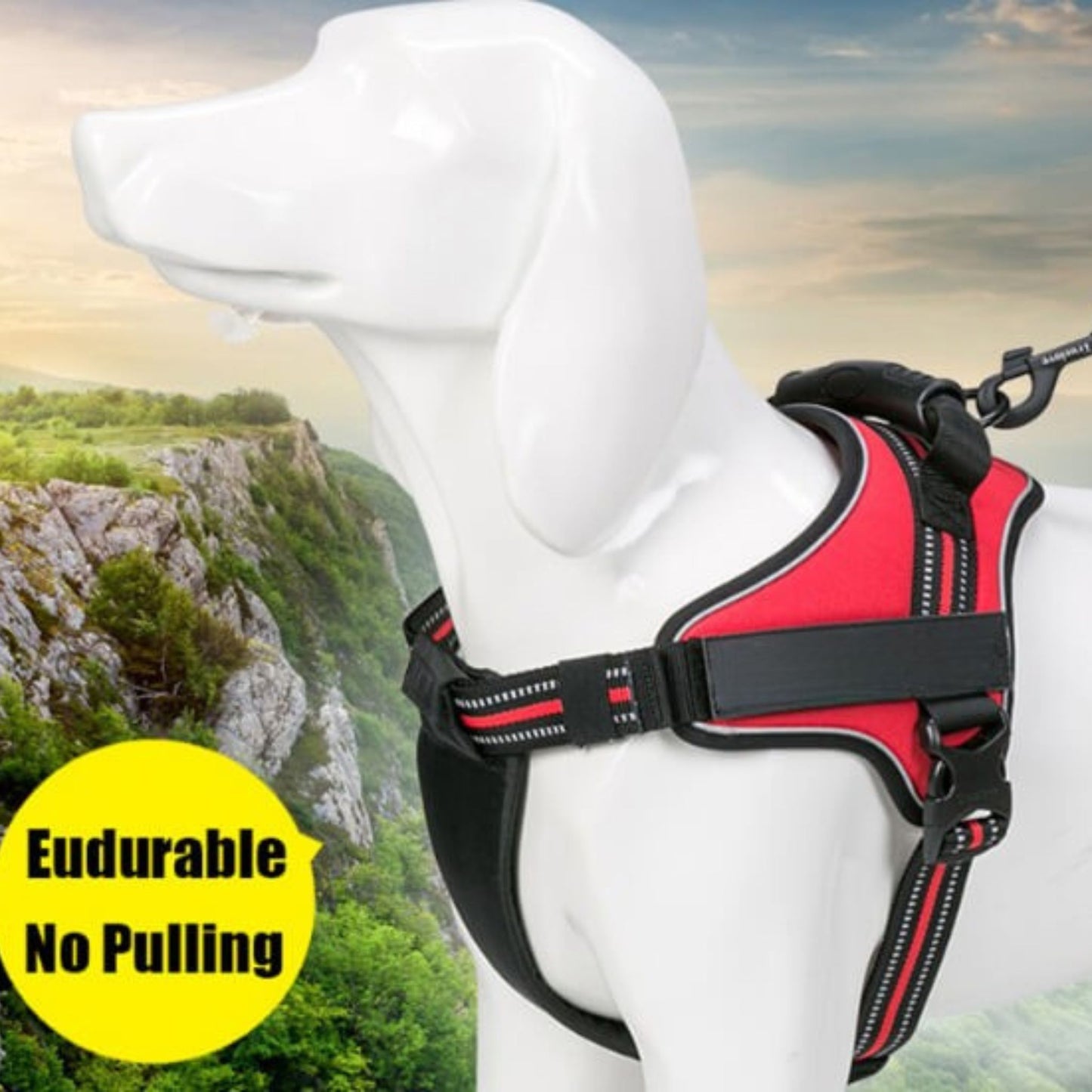 Adventure Harness - Blue