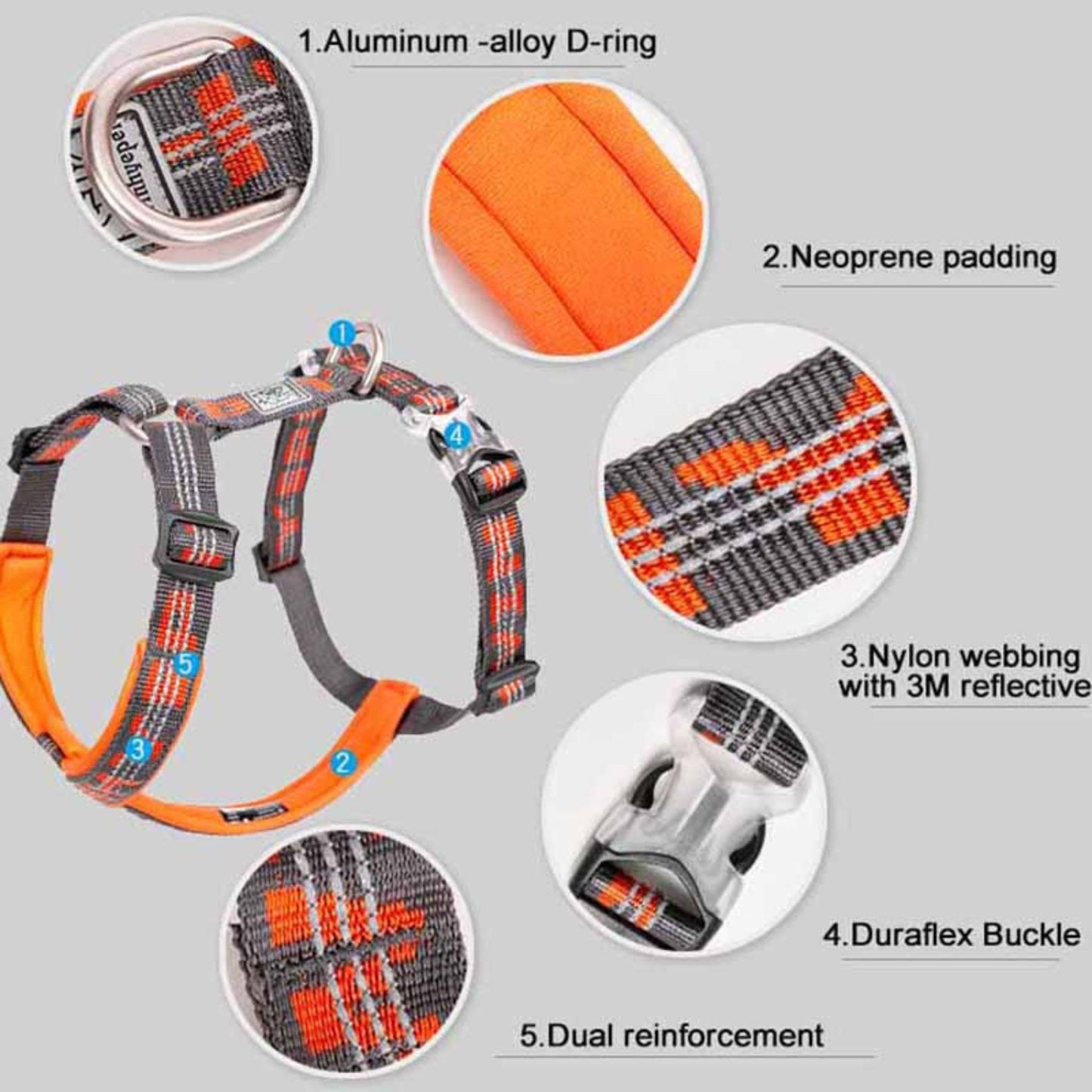 Chest Strap Harness - Purple