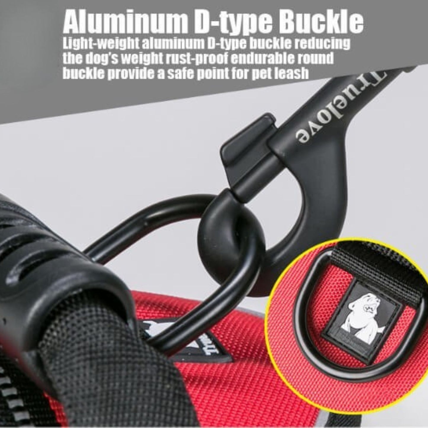 Adventure Harness - Blue