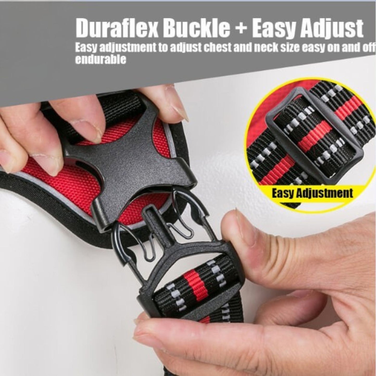 Adventure Harness - Blue