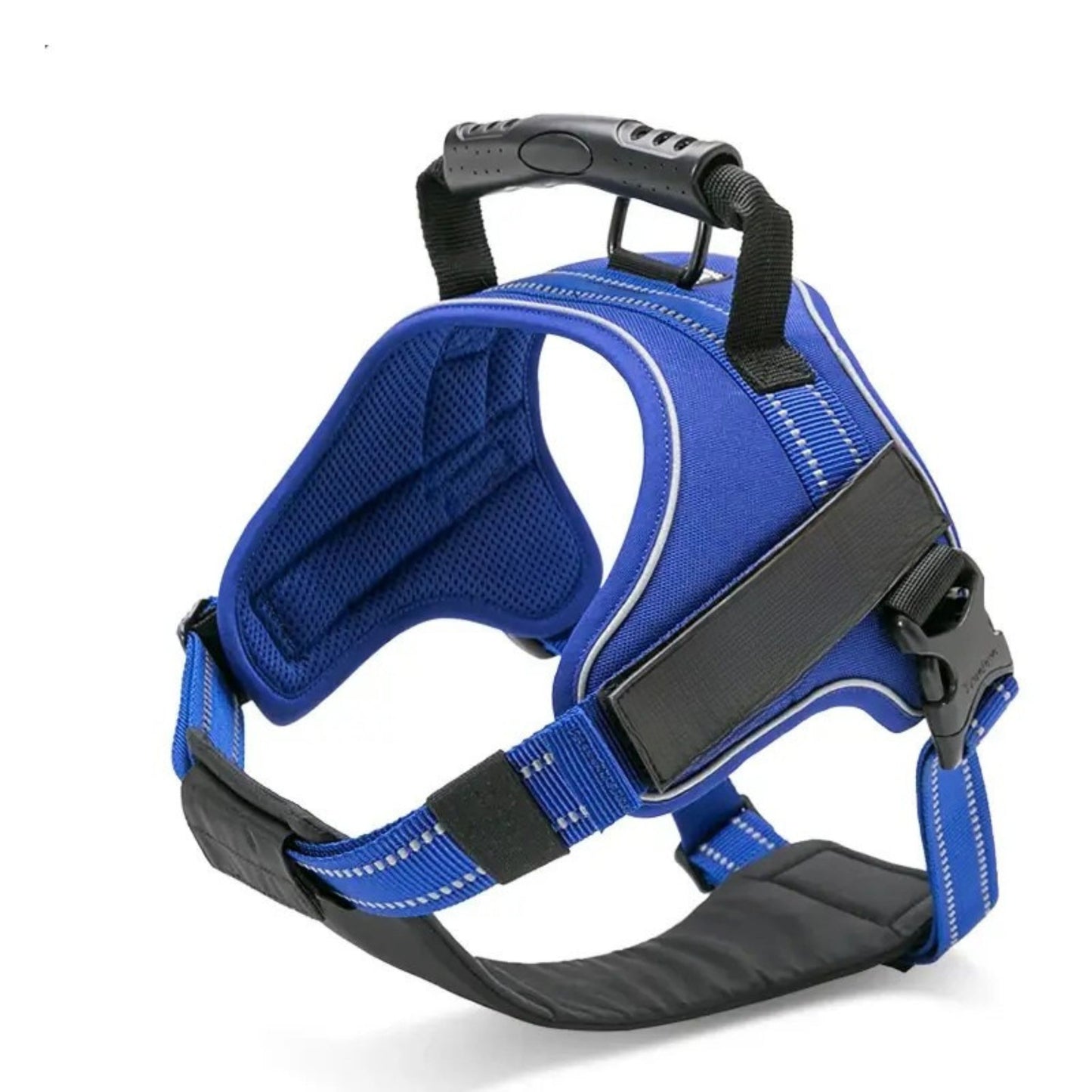 Adventure Harness - Blue