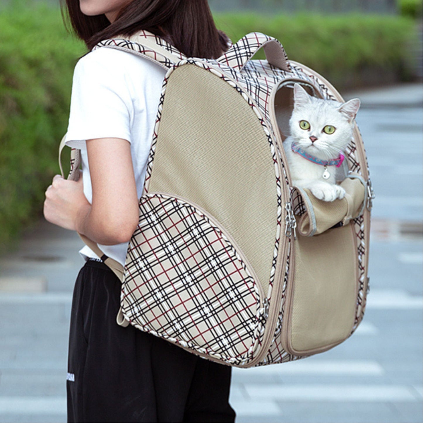 CityPet Carrier - Apricot