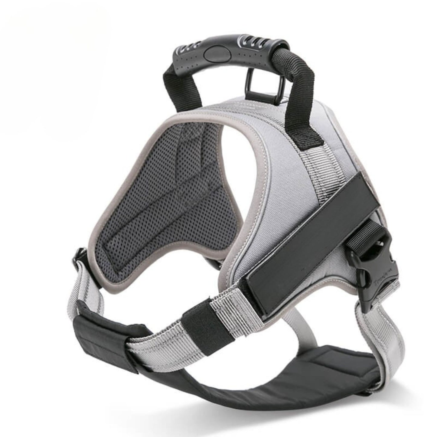 Adventure Harness - Blue