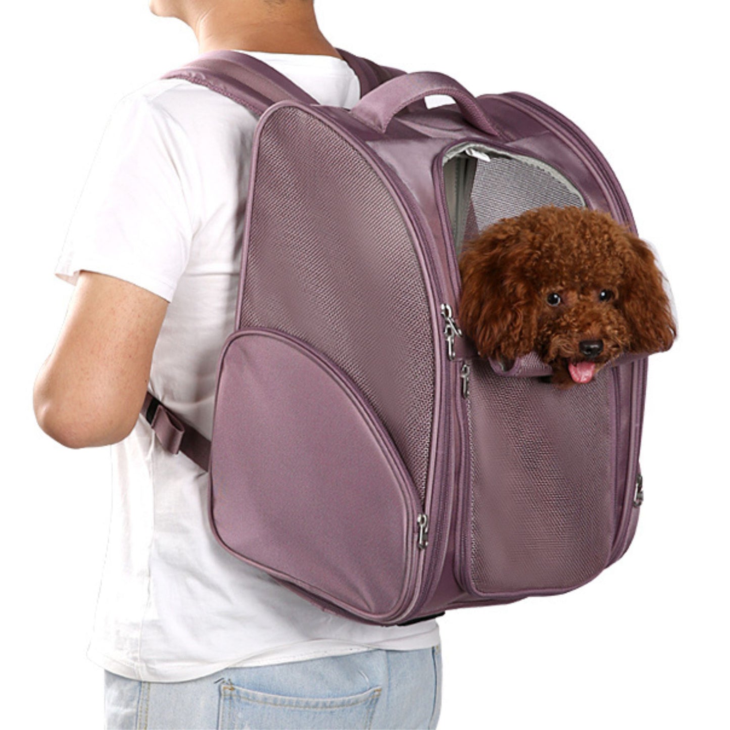 CityPet Carrier - Apricot