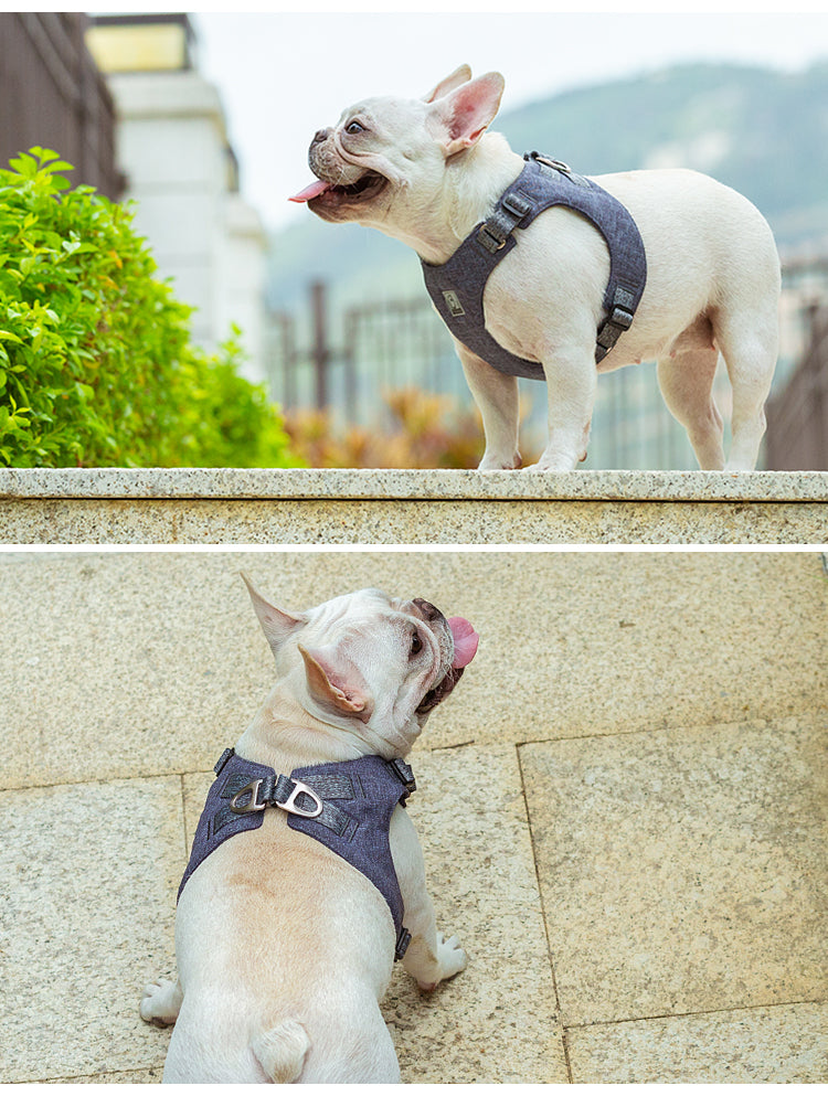 EcoFit Harness - Red