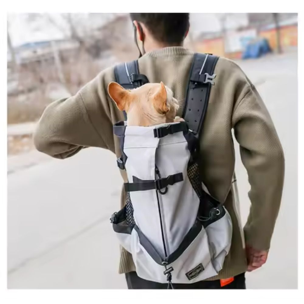 Outdoor Carrier Backpack -