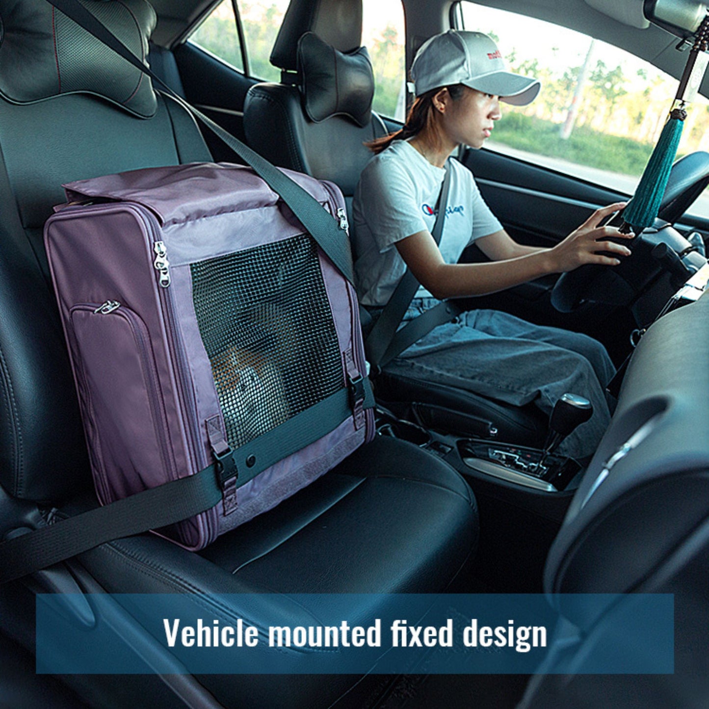 AirVent Travel Carrier - Black