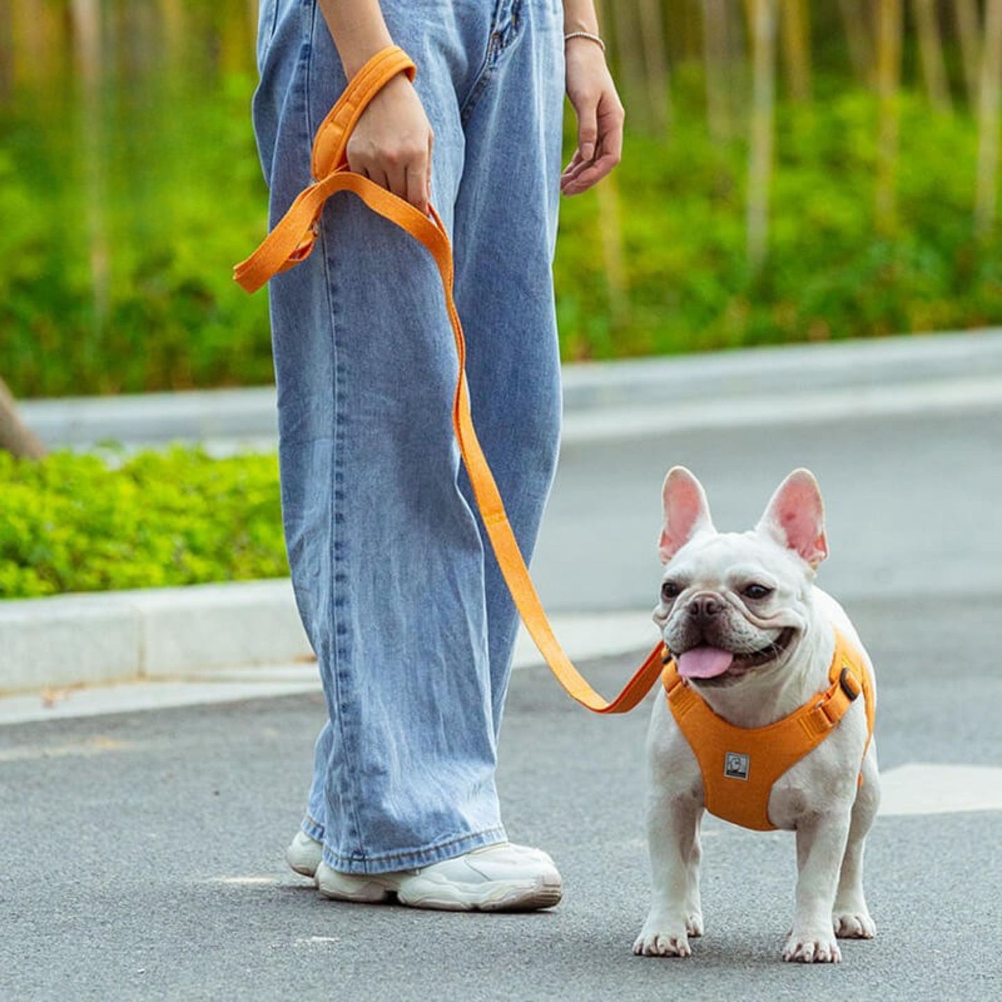EcoFit Leash - Red