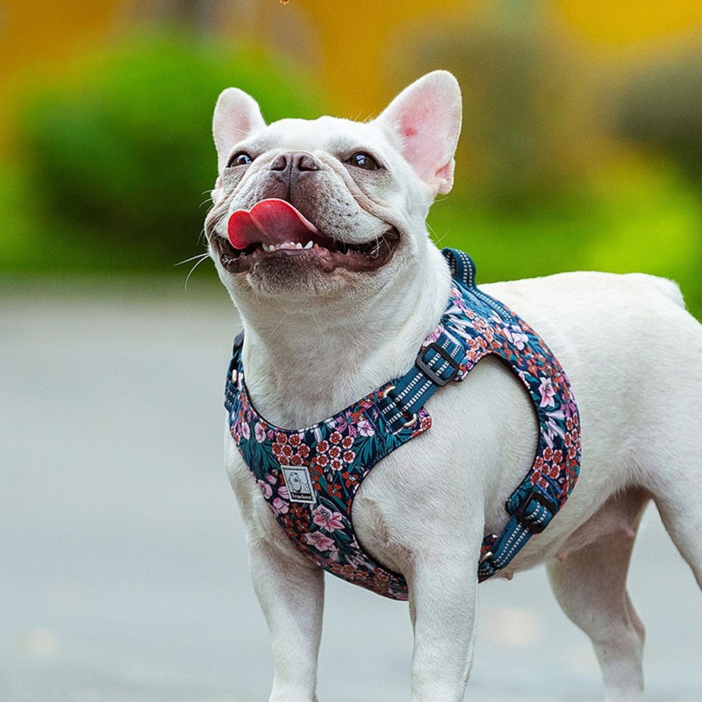 Floral Cotton Harness - Poppy Red