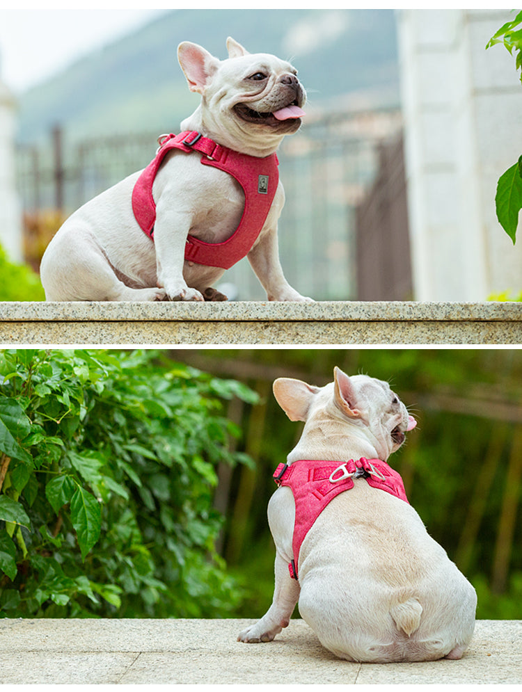 EcoFit Harness - Red