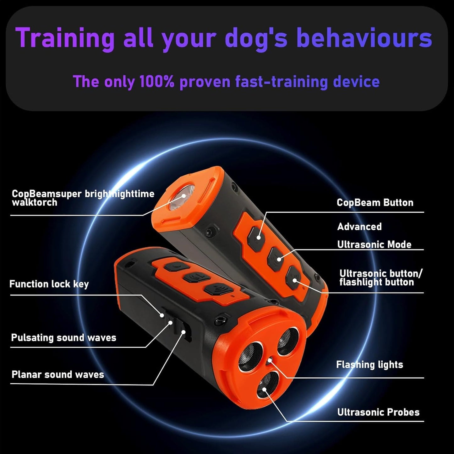 Ultrasonic Training Device