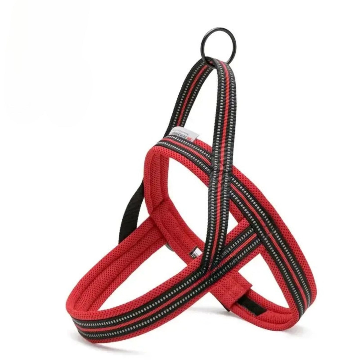 Everyday Harness - Fuchsia