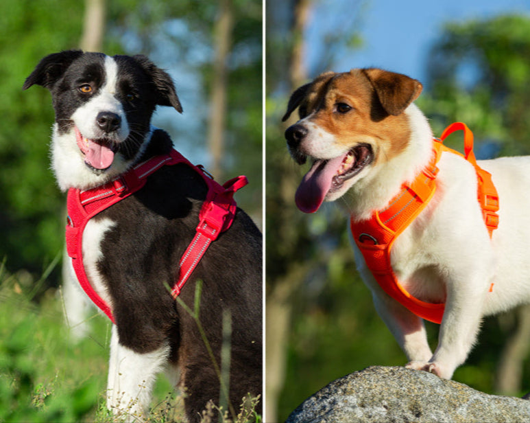 Breathable Harness - Red