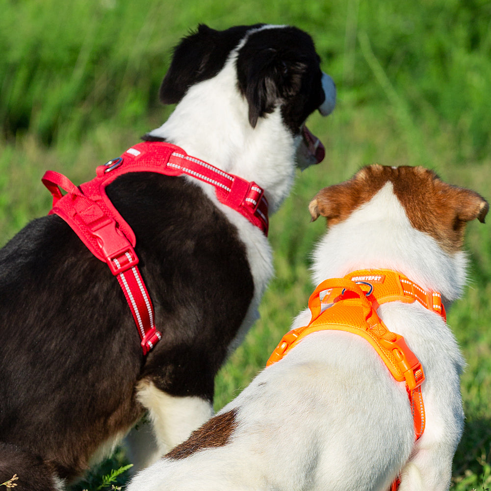 Breathable Harness - Red