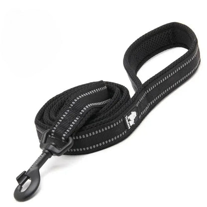 Reflective Soft Leash - Fuchsia