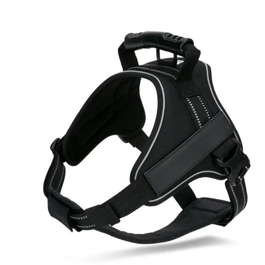 Adventure Harness - Black