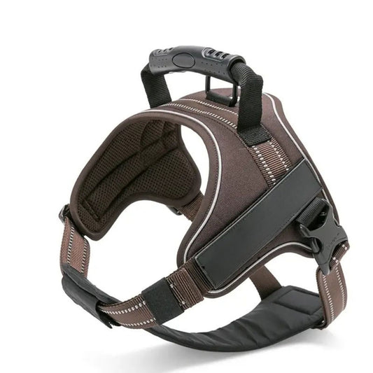Adventure Harness - Brown