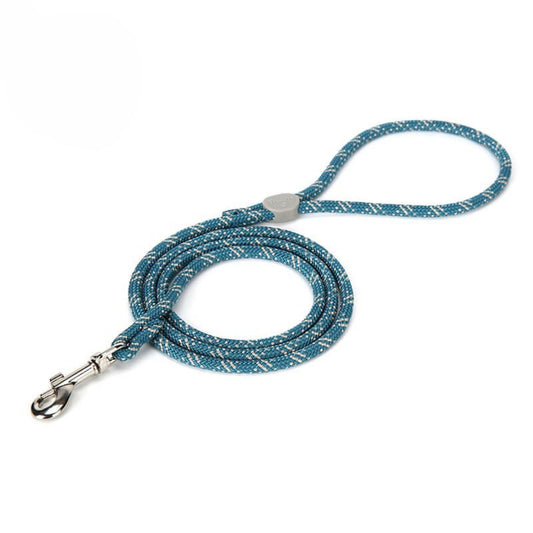 LightRope Leash - Blue