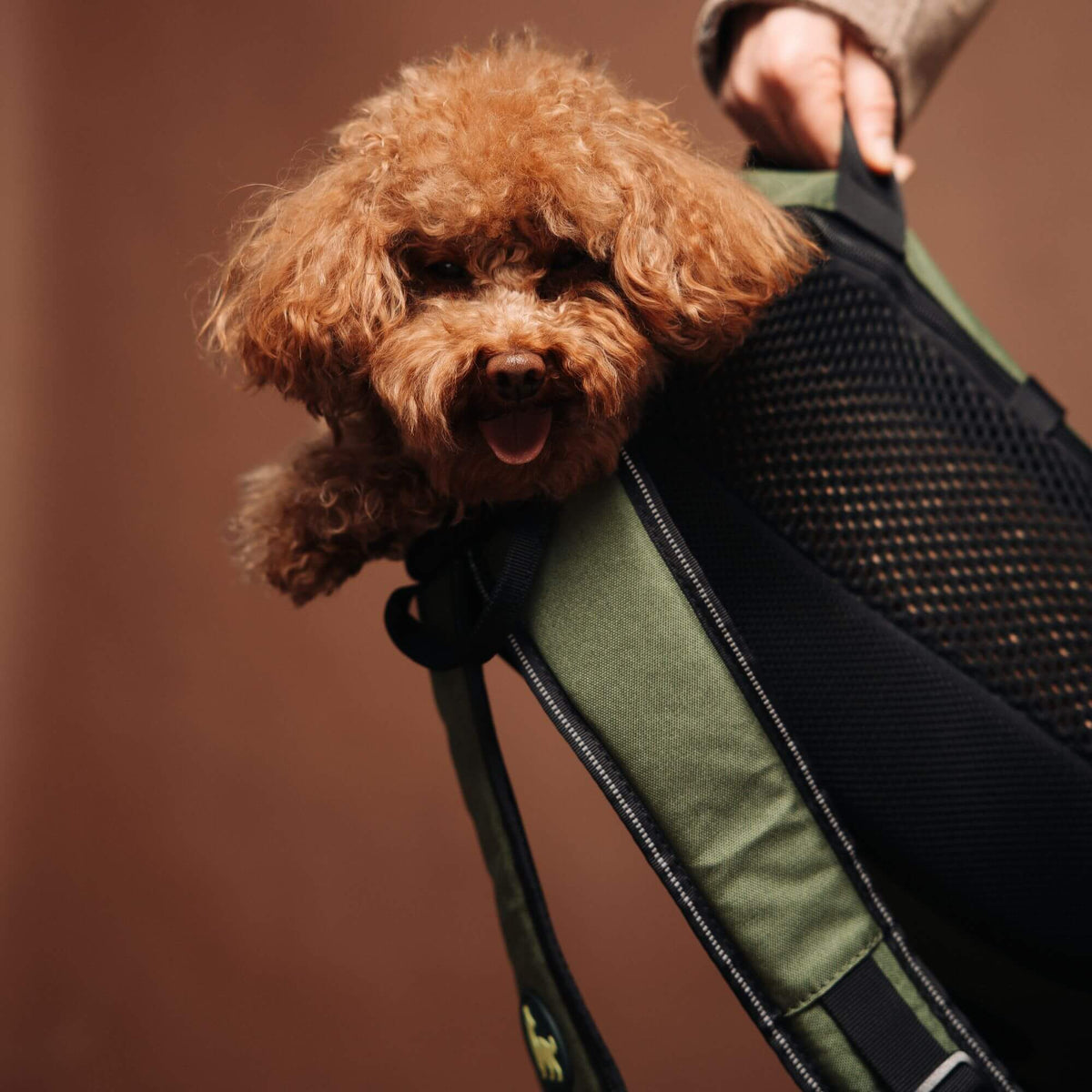 TrailLoad™ Small Dog Carrier Backpack — Forest Green Edition