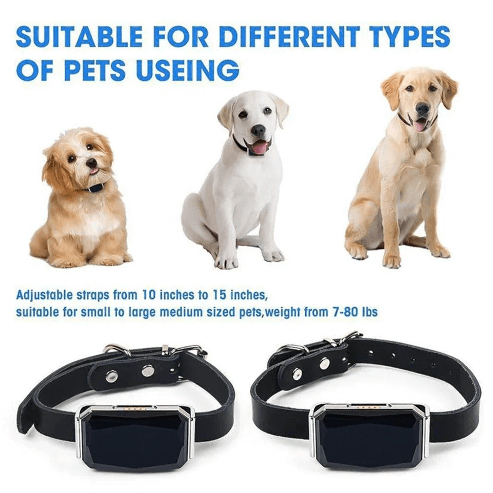 GPS Tracker Collar