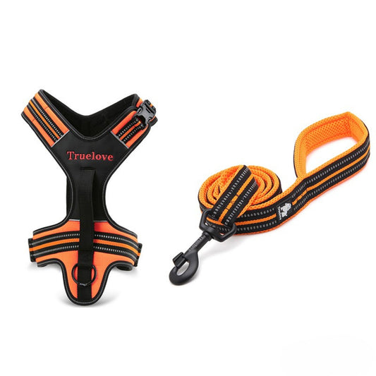 Harness and Leash Set - Orange