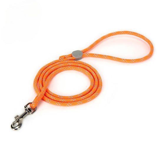 LightRope Leash - Orange
