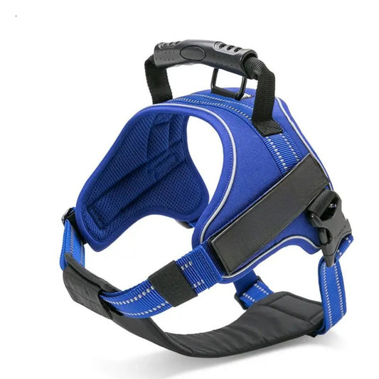 Adventure Harness - Royal Blue