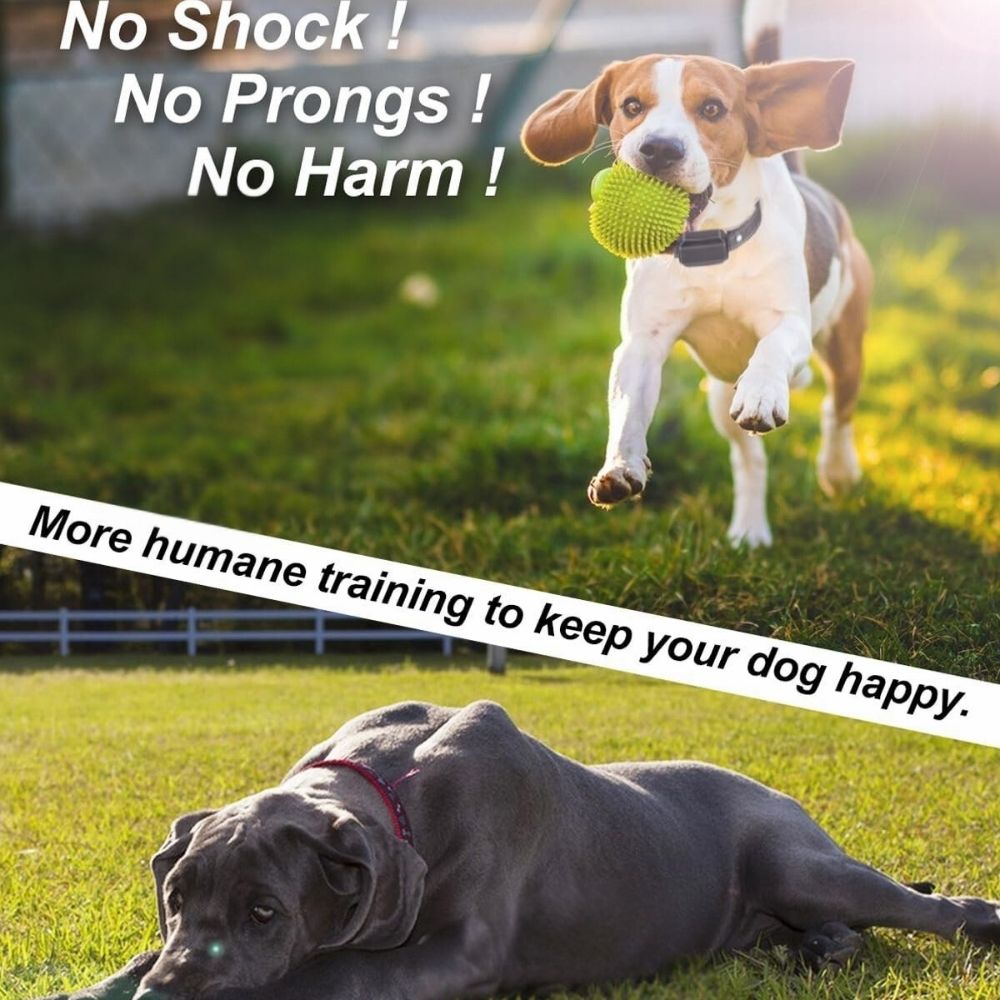 Smart Dog Training Collar - 