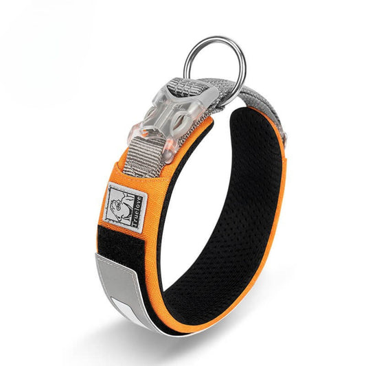 DuPont Collar - Orange Ochre