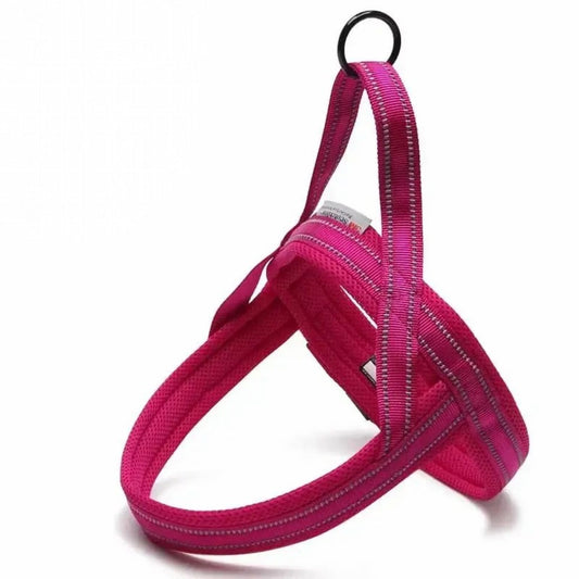 Everyday Harness - Fuchsia