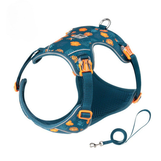 Breathe & Glow Set - Blue Coral