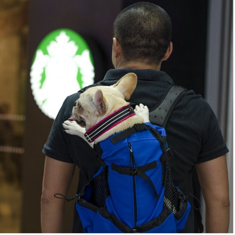 Outdoor Carrier Backpack - 