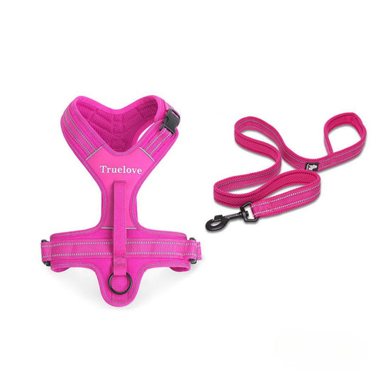 Harness and Leash Set - Fuchsia
