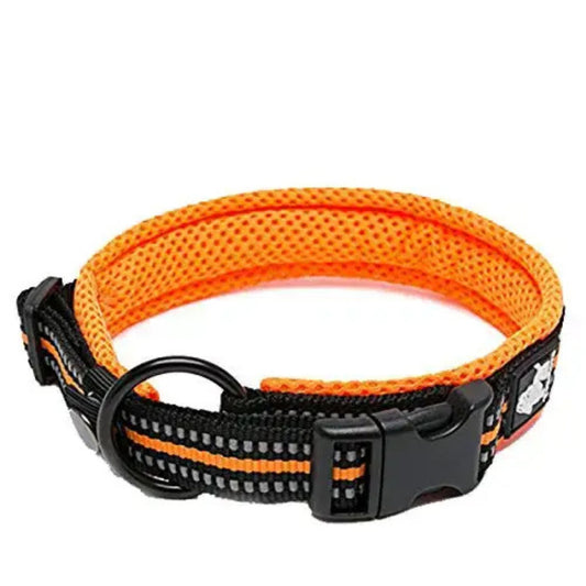 Reflective Collar - Orange