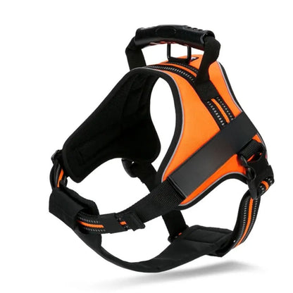 Adventure Harness - Neon Yellow