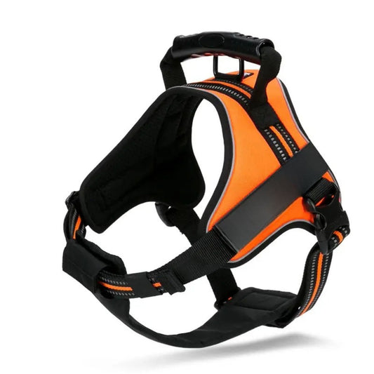 Adventure Harness - Orange