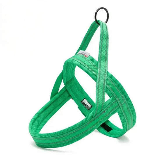 Everyday Harness - Grass Green