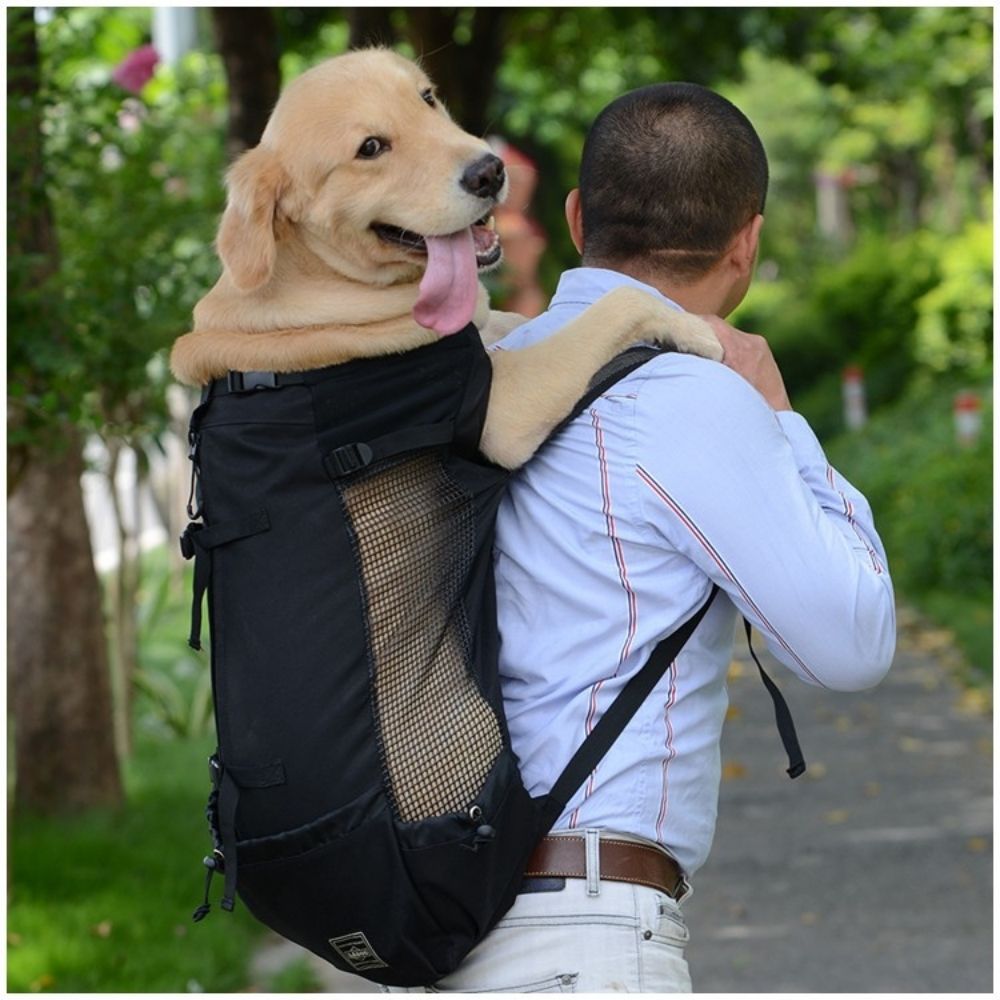 Outdoor Carrier Backpack - 