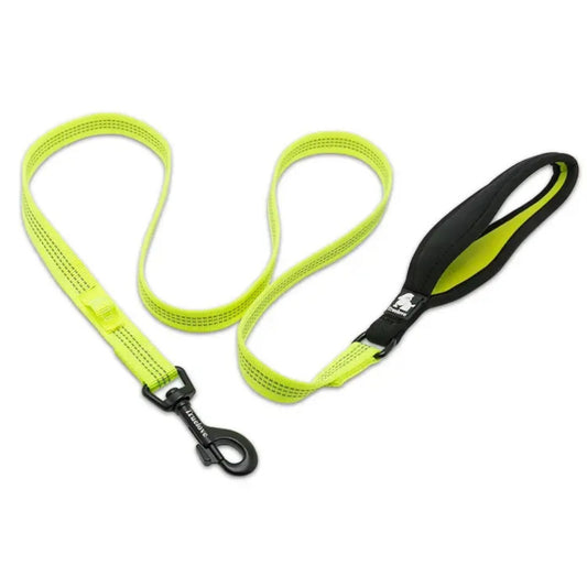 Quick-Fit Leash - Green