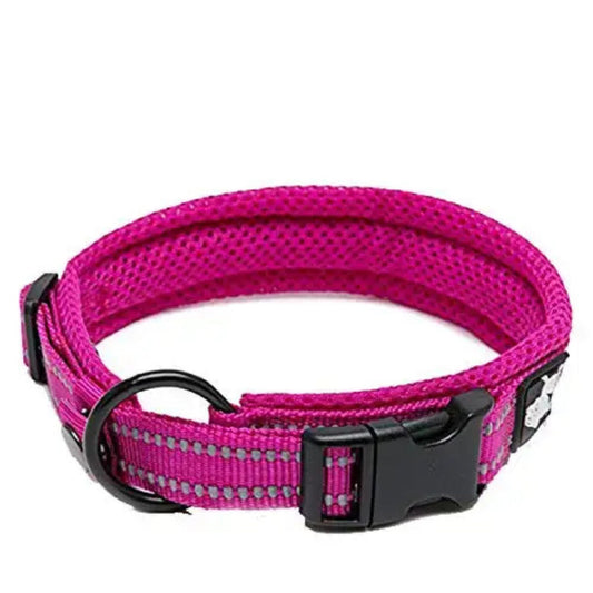 Reflective Collar - Fuchsia
