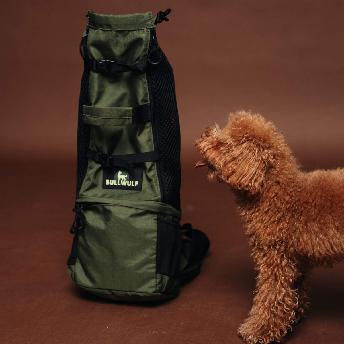 TrailLoad™ Small Dog Carrier Backpack — Forest Green Edition