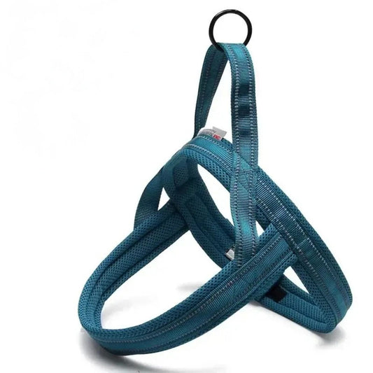 Everyday Harness - Blue