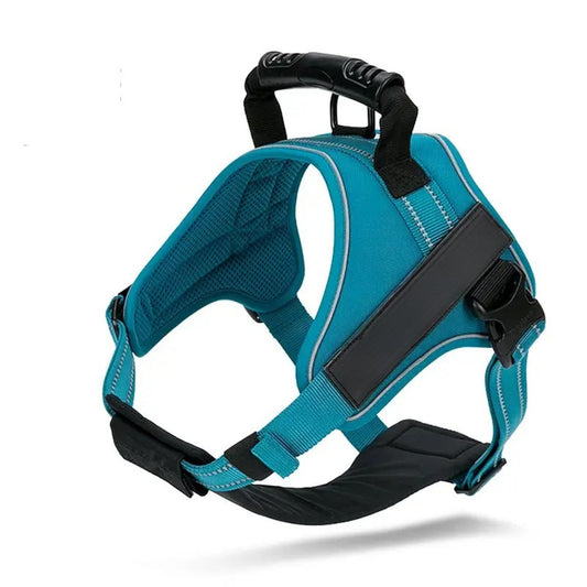 Adventure Harness - Blue