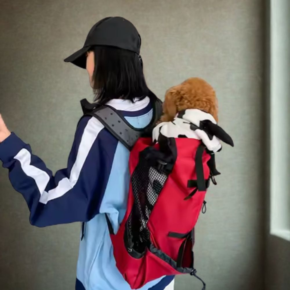 Outdoor Carrier Backpack - 
