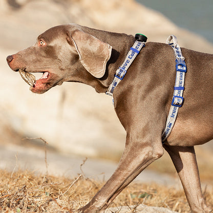 SportFit Harness - Green