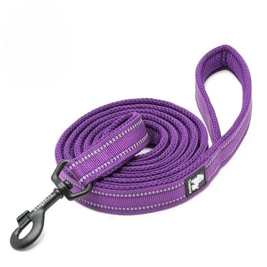 Reflective Soft Leash - Purple
