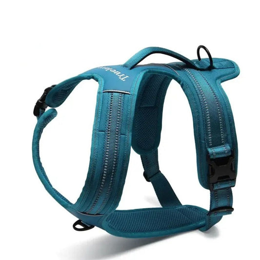 Reflective Sport Harness - Blue