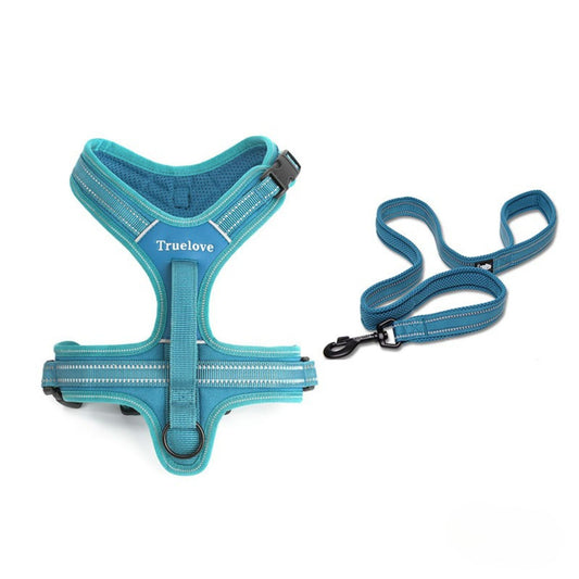 Harness and Leash Set - Blue